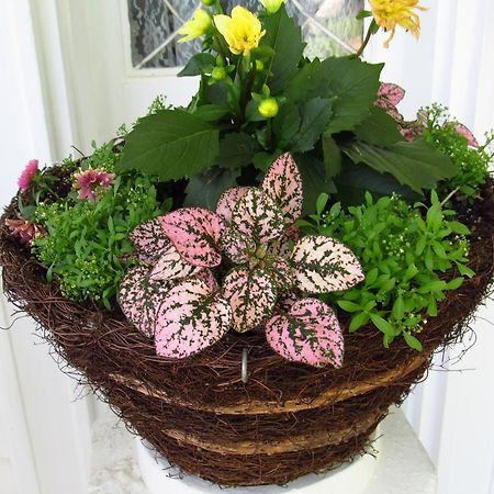 Bisland House Bed And Breakfast Натчес Екстериор снимка